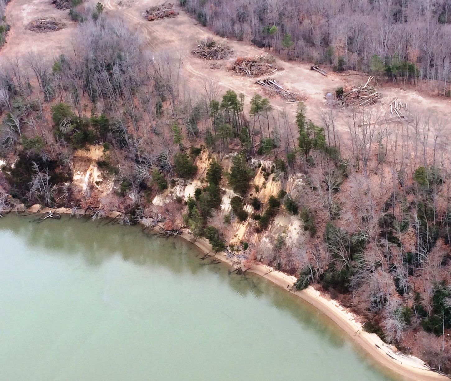 Trees cleared illegally at Fones Cliffs resort site